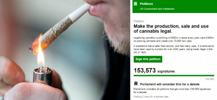 Marihuana legalna w UK? Petycja już w parlamencie, thc thc.info