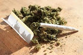 Rick Steves wspiera legalizację marihuany, thc thc.info
