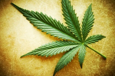 Dolegliwości, które leczone są medyczną marihuaną, thc thc.info