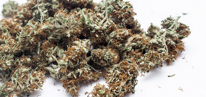 Naukowcy uważają, że pigułka zawierająca marihuanę może skutecznie leczyć PTSD, thc thc.info