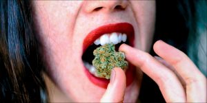 Czy można oblać test na narkotyki po zjedzeniu surowej marihuany?, thc thc.info
