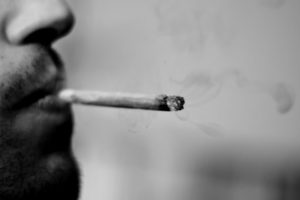 Marihuana nie prowadzi do stosowania narkotyków, thc thc.info