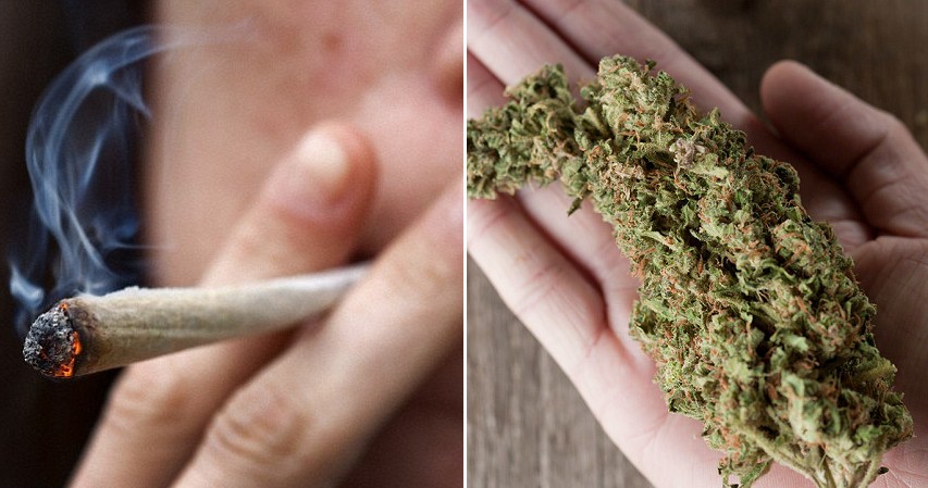 W jaki sposób marihuana pomaga chorym na raka?, thc thc.info