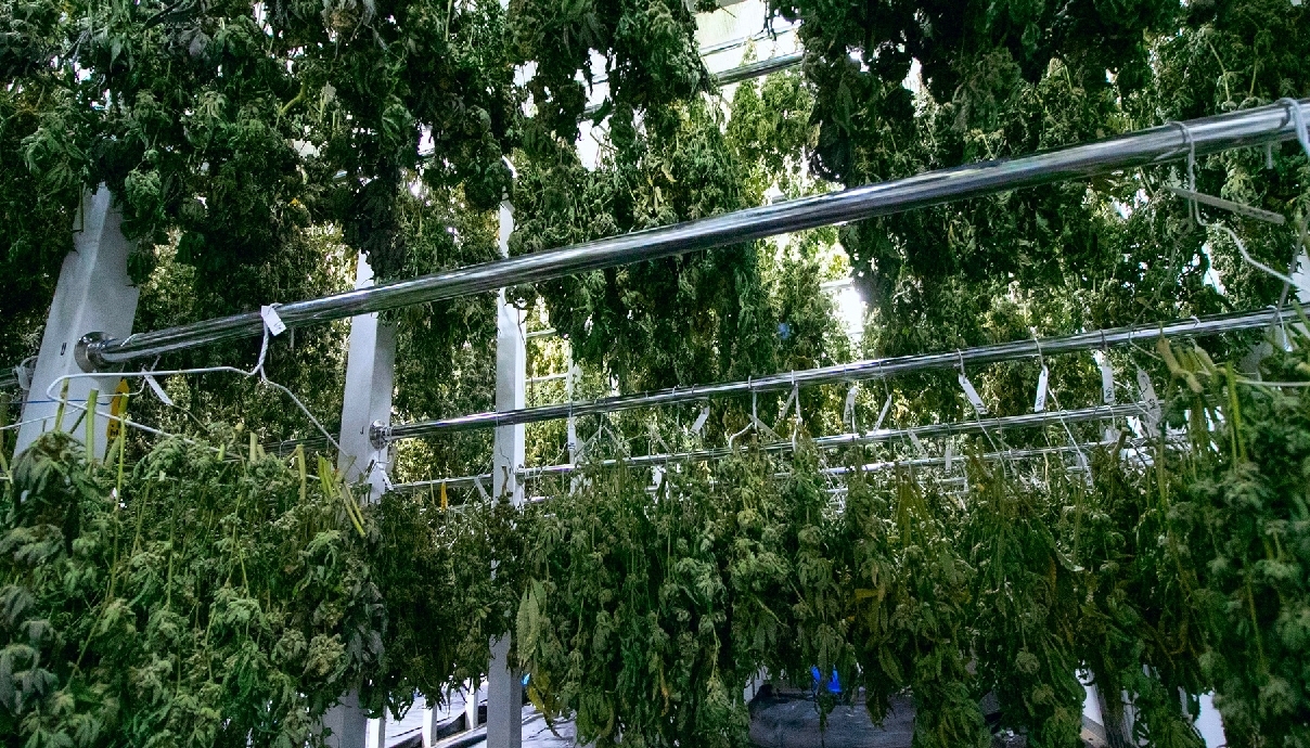 Odpowiedni Poziom pH