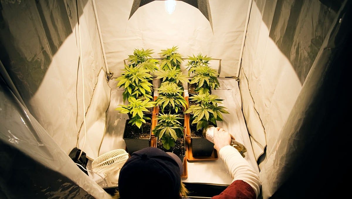 Wskazówki Które Pozwolą Ci Oszczędzić Czas