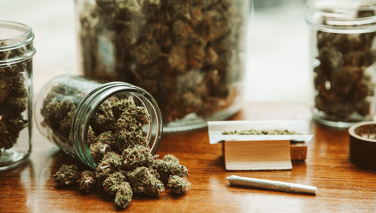 Dlaczego Stosunek THC:CBD 1:1 Działa Tak Dobrze?