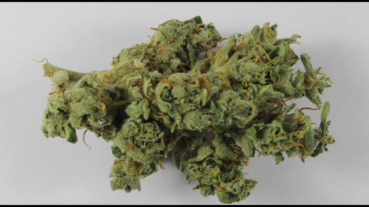 Jak łączyć THC i CBD? Synergia kannabinoidów w praktyce