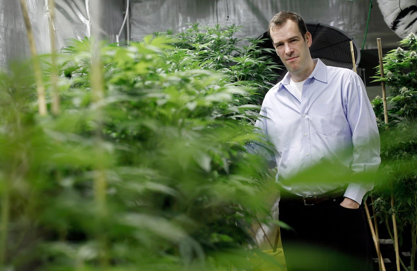 Co sprawia, iż wzmacniacze kwitnienia działają tak skutecznie